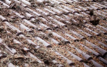 South Lambeth roof cleaning companies